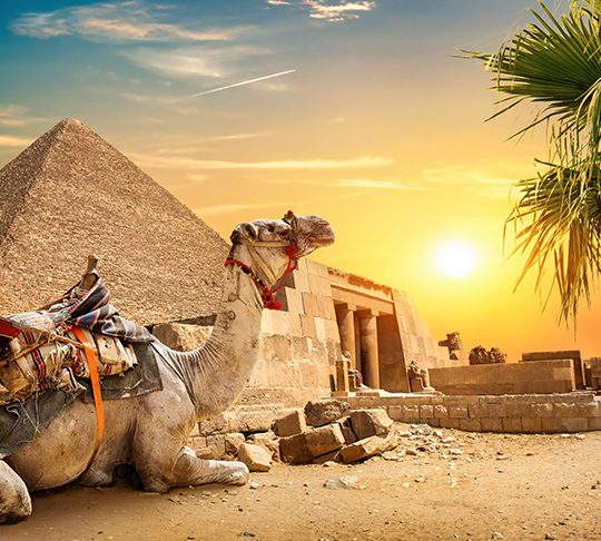 Les Enchères Voyages E.Leclerc, c'est quoi ?