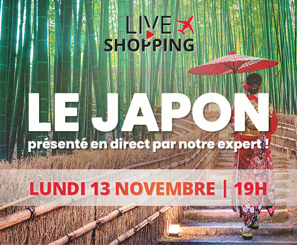 Le Japon présenté en direct par notre expert ! Lundi 13 novembre 2023 à 19h